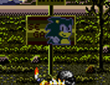 The Sonic Road Sign